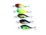 Fishing Lure Kit - 5pc 4.2g